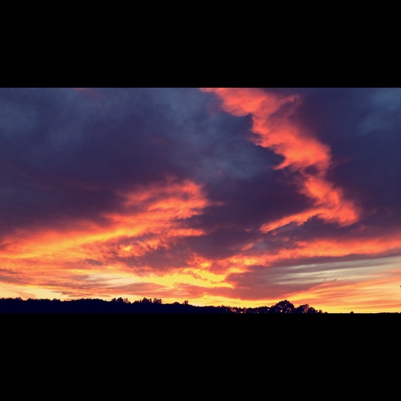 Meet your Posher, Amber - Picture 1 of 1